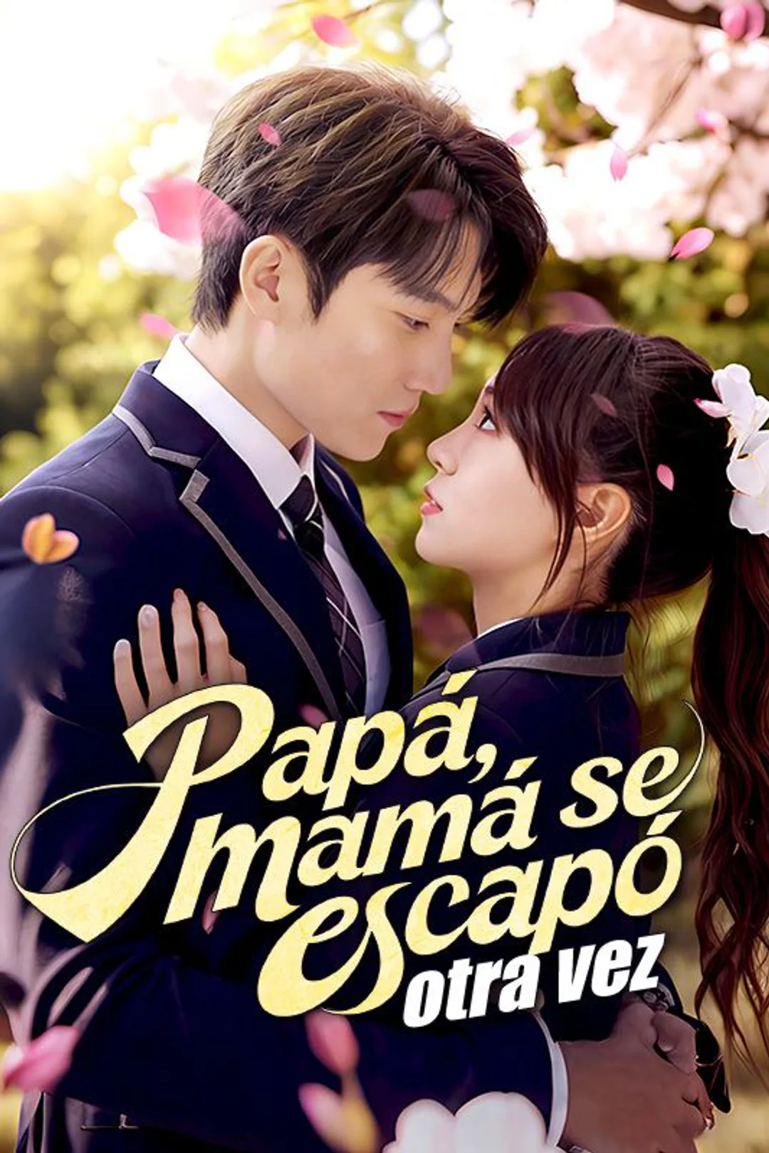Póster de Papá, mamá se escapó otra vez
