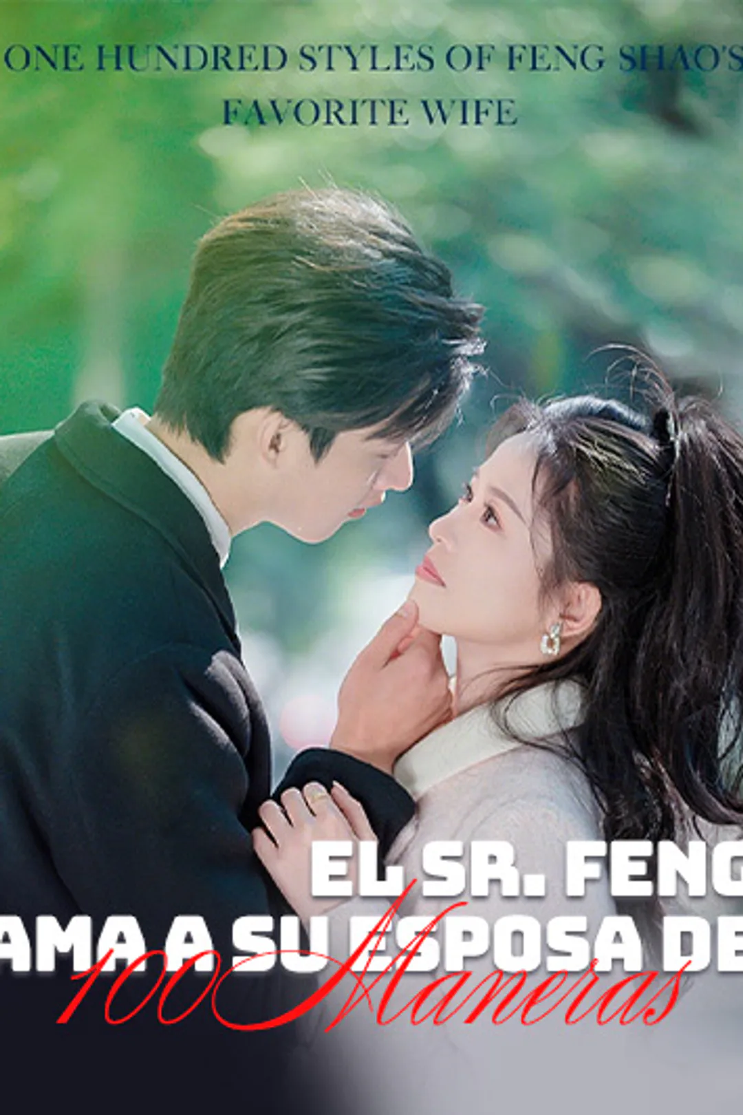 Póster de El Sr. Feng Ama a Su Esposa de 100 Maneras
