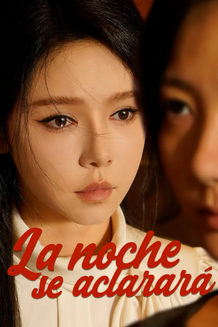 Póster de La noche se aclarará