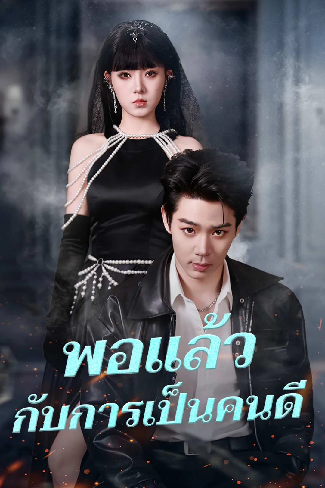 โปสเตอร์ พอแล้วกับการเป็นคนดี
