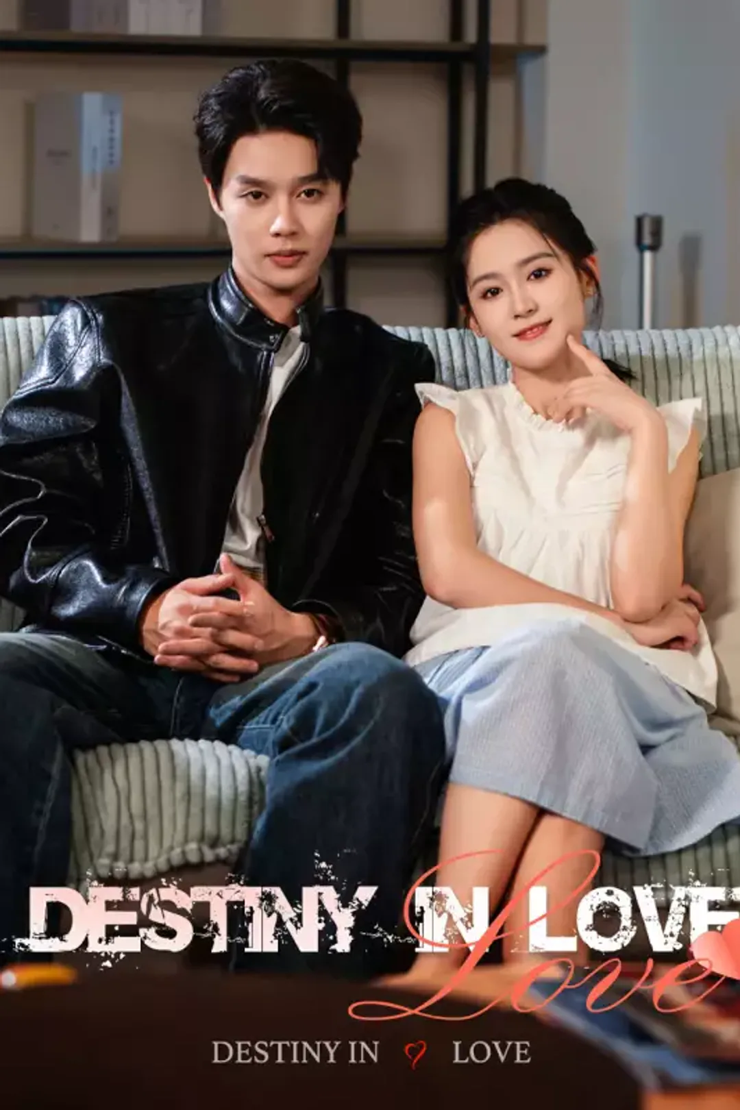 Destiny in Love poster