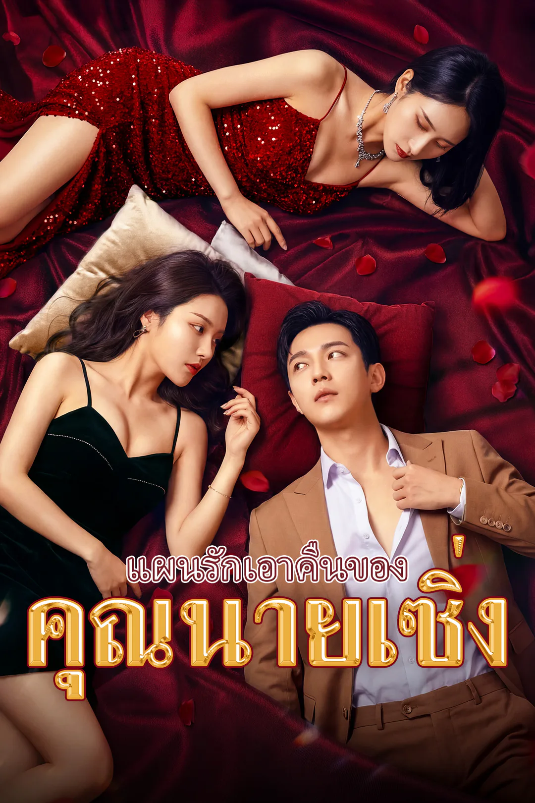 โปสเตอร์ แผนรักเอาคืนของคุณนายเซิ่ง