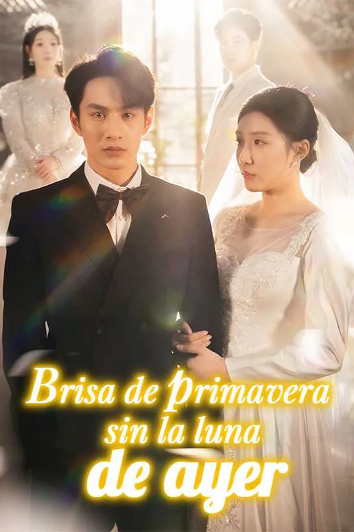 Póster de Brisa de primavera sin la luna de ayer