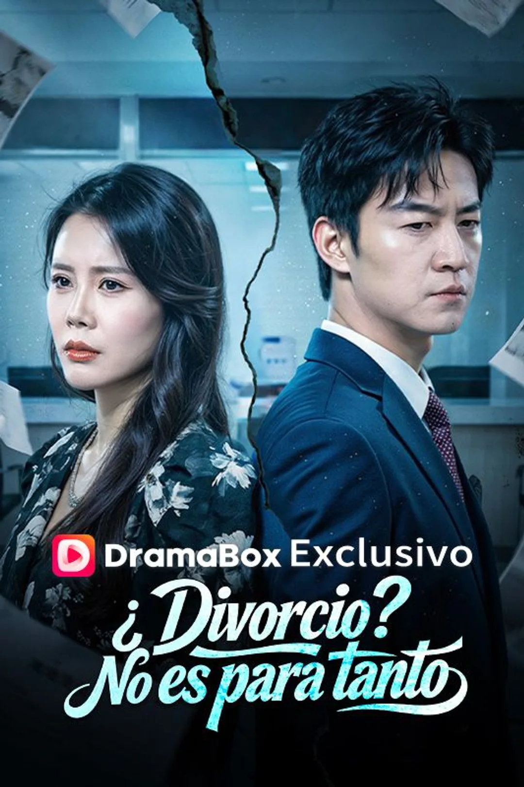 Póster de ¿Divorcio? No es para tanto