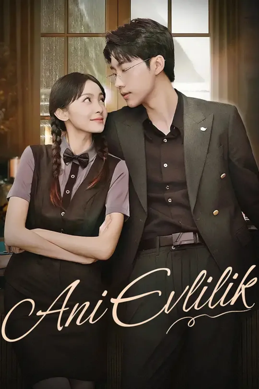 Ani Evlilik afişi