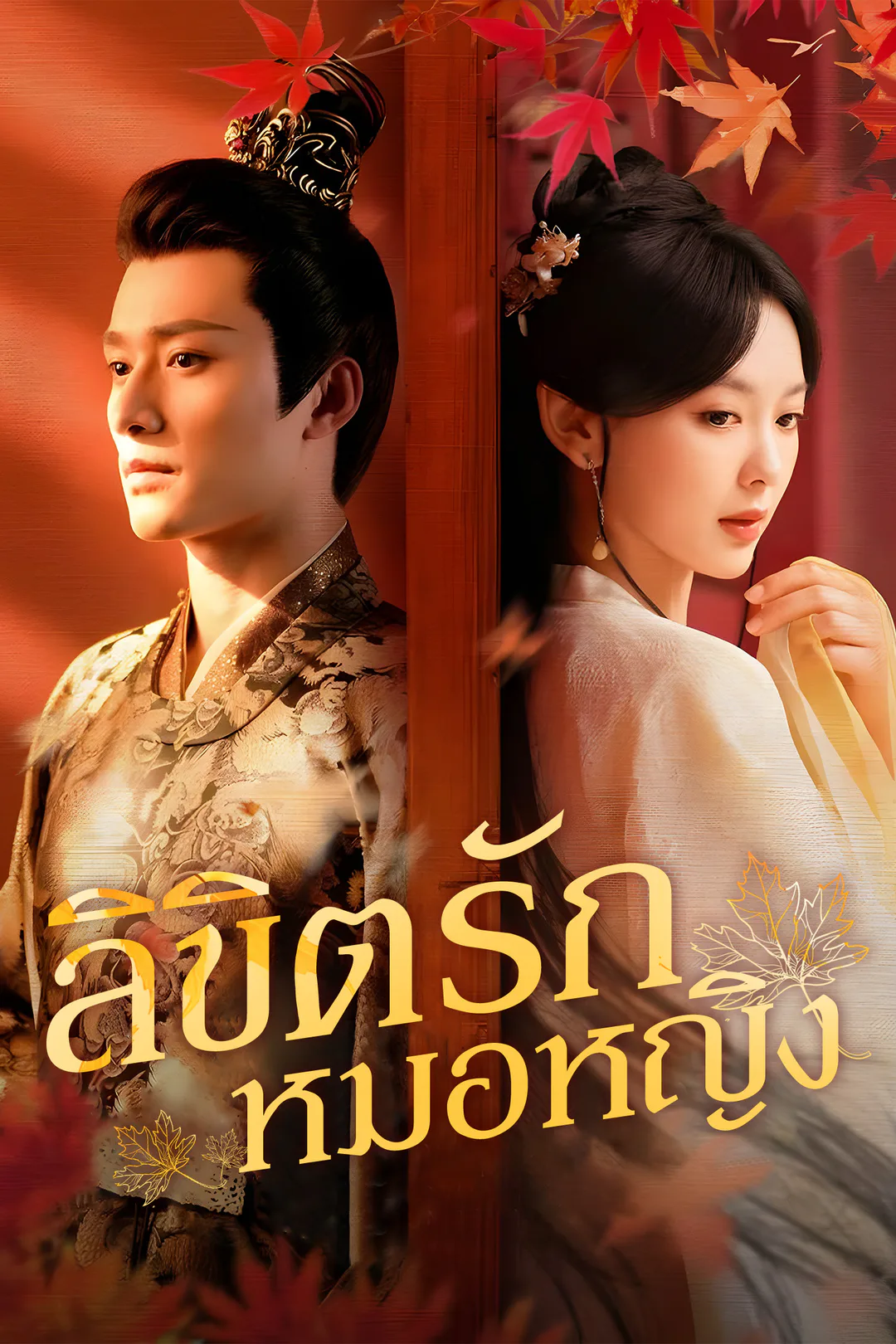 โปสเตอร์ ลิขิตรักหมอหญิง