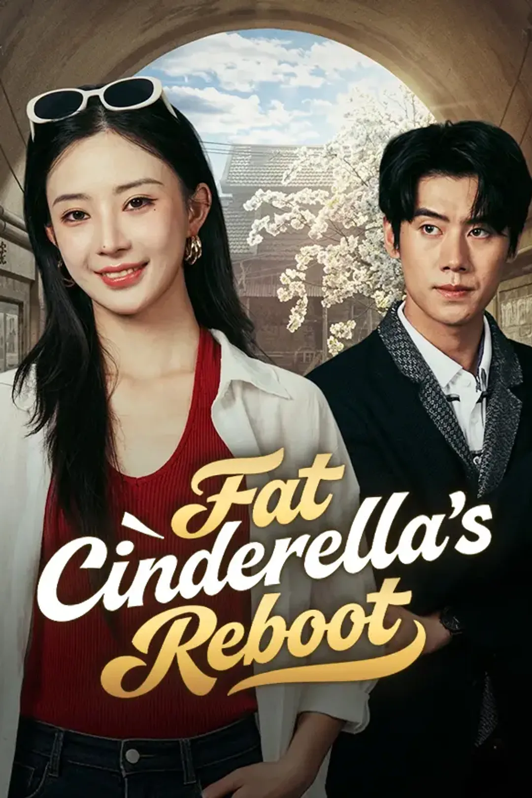 Fat Cinderella's Reboot poster