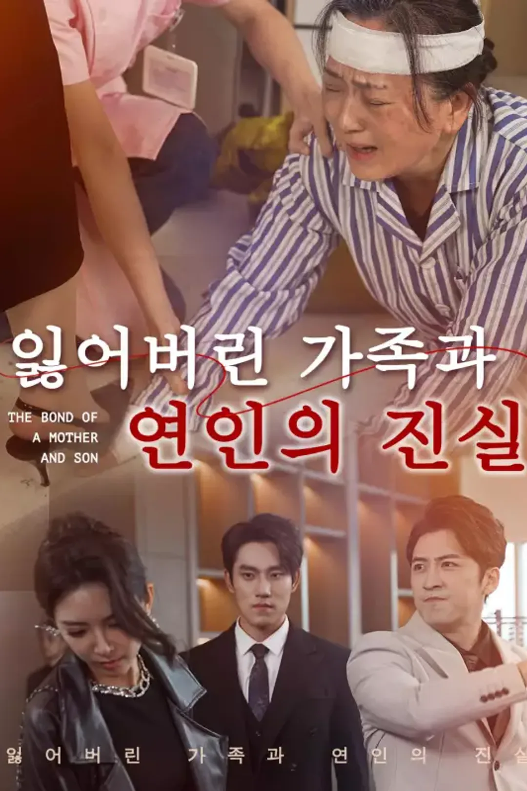 잃어버린 가족과 연인의 진실 포스터