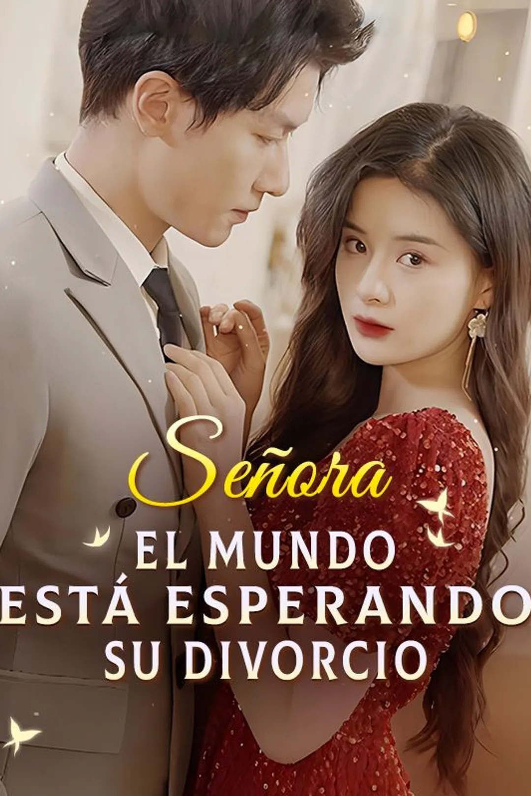 Póster de Señora, El Mundo Está Esperando Su Divorcio