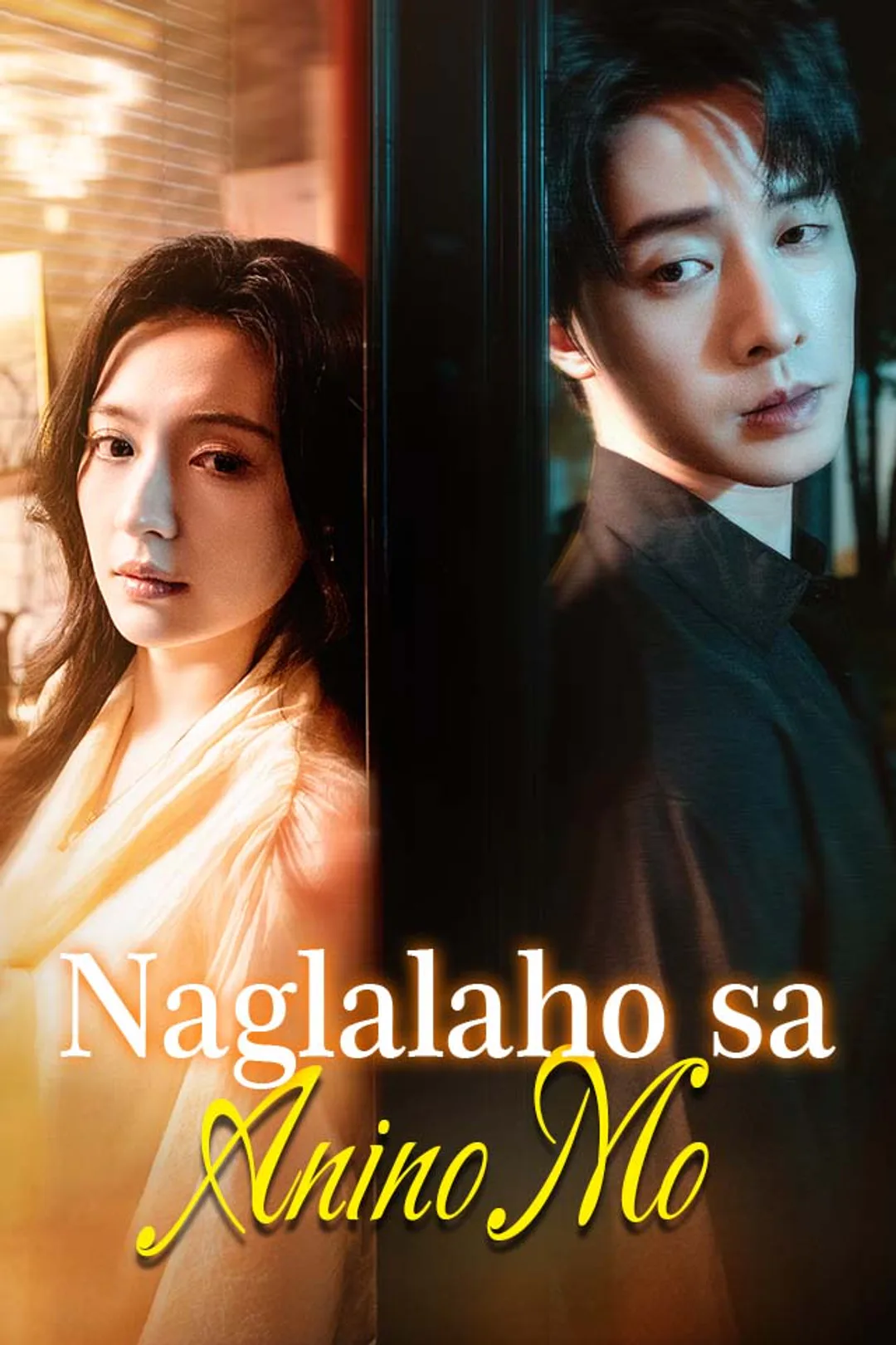 Poster ng Naglalaho sa Anino Mo