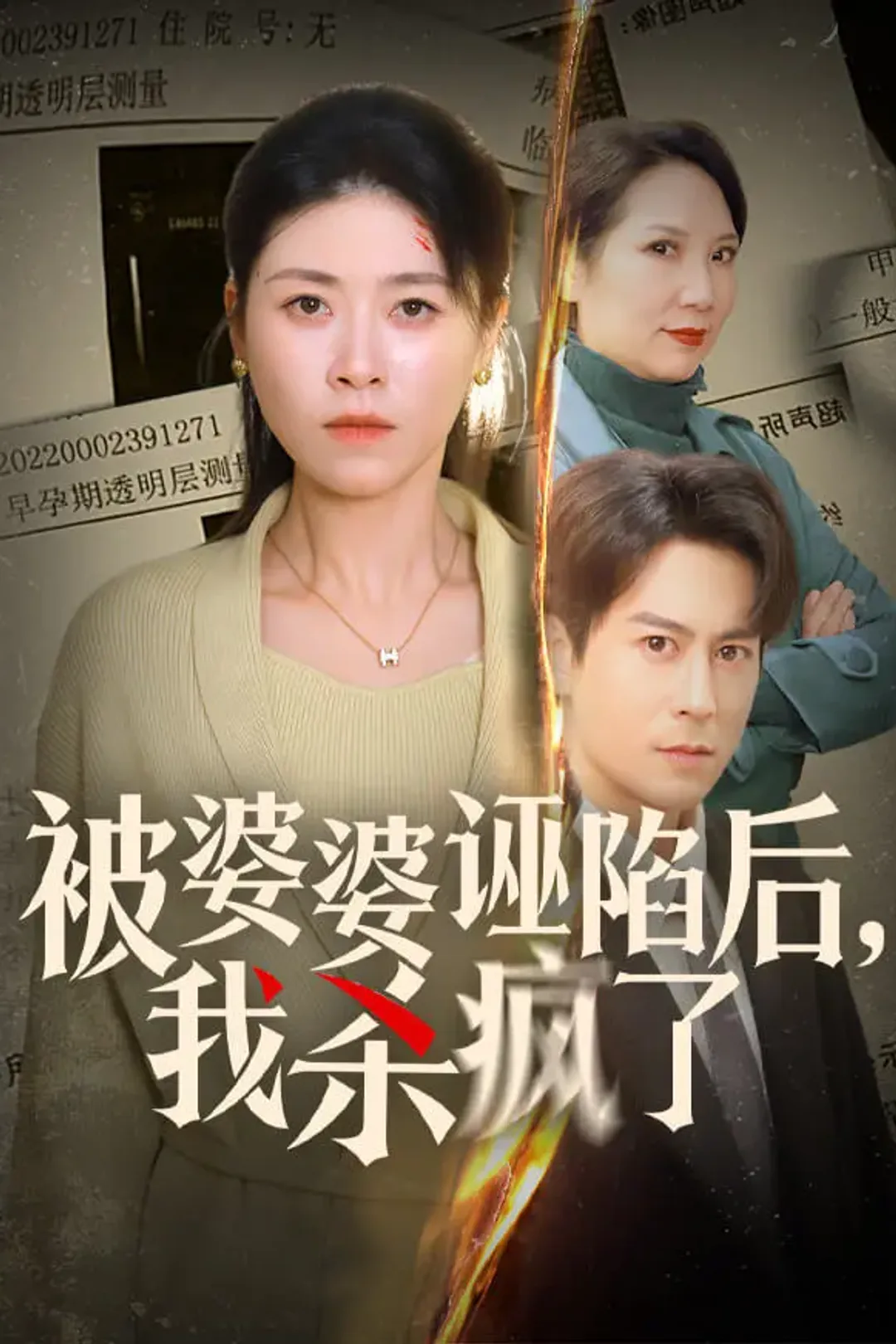 《被婆婆诬陷后，我杀疯了》海报