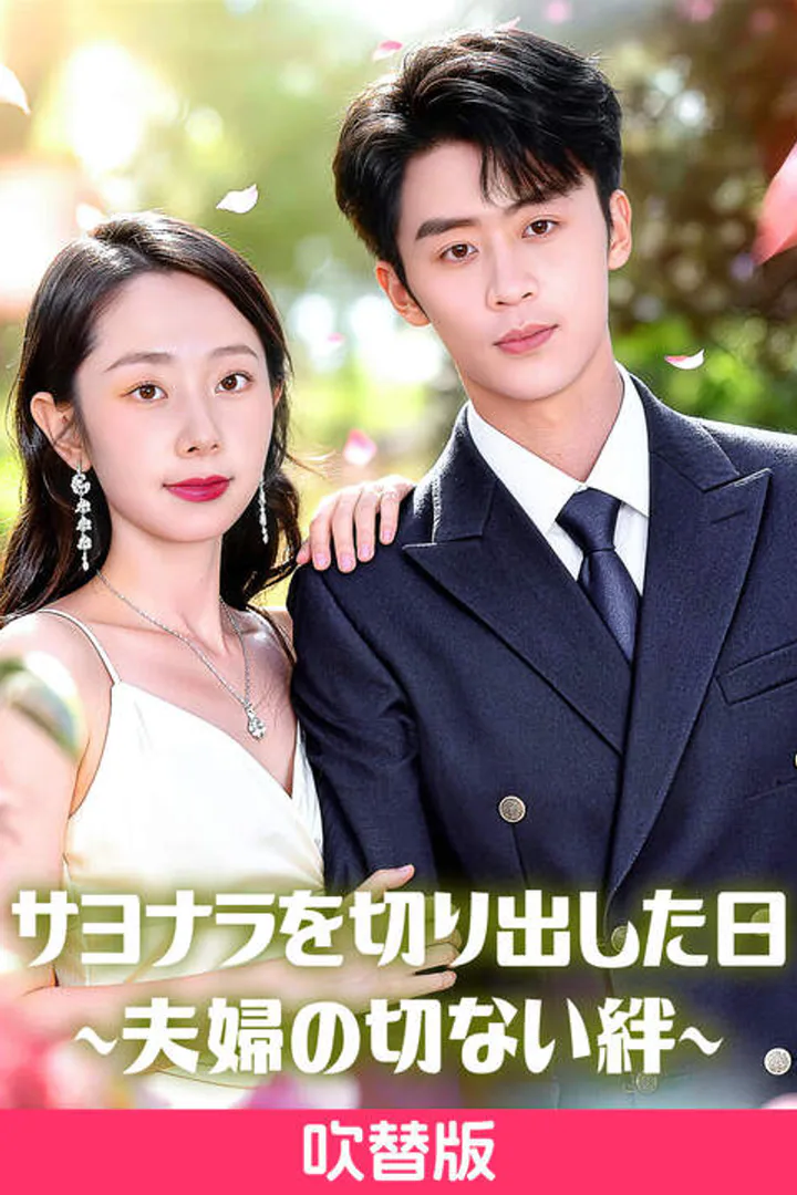 (吹替版)サヨナラを切り出した日∼夫婦の切ない絆∼のポスター