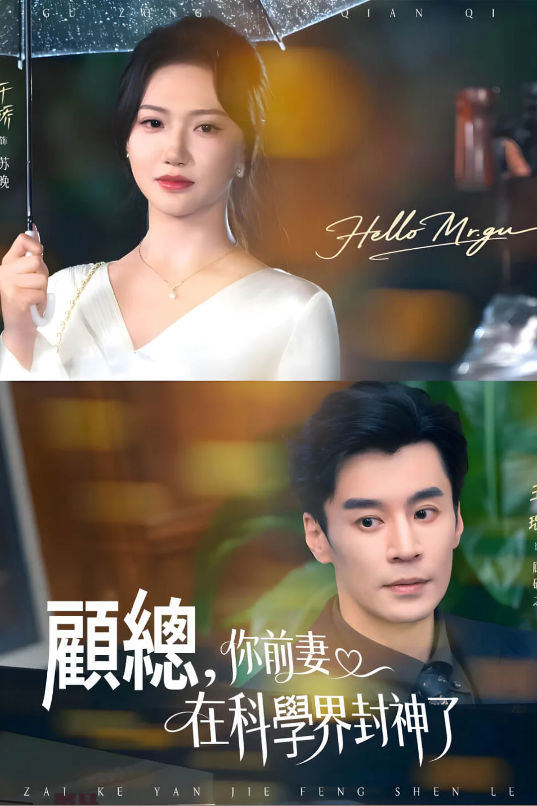 《顧總，你的前妻在科學界封神了》海報