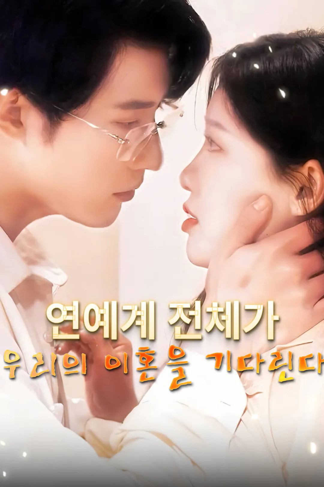 연예계 전체가 우리의 이혼을 기다린다 포스터