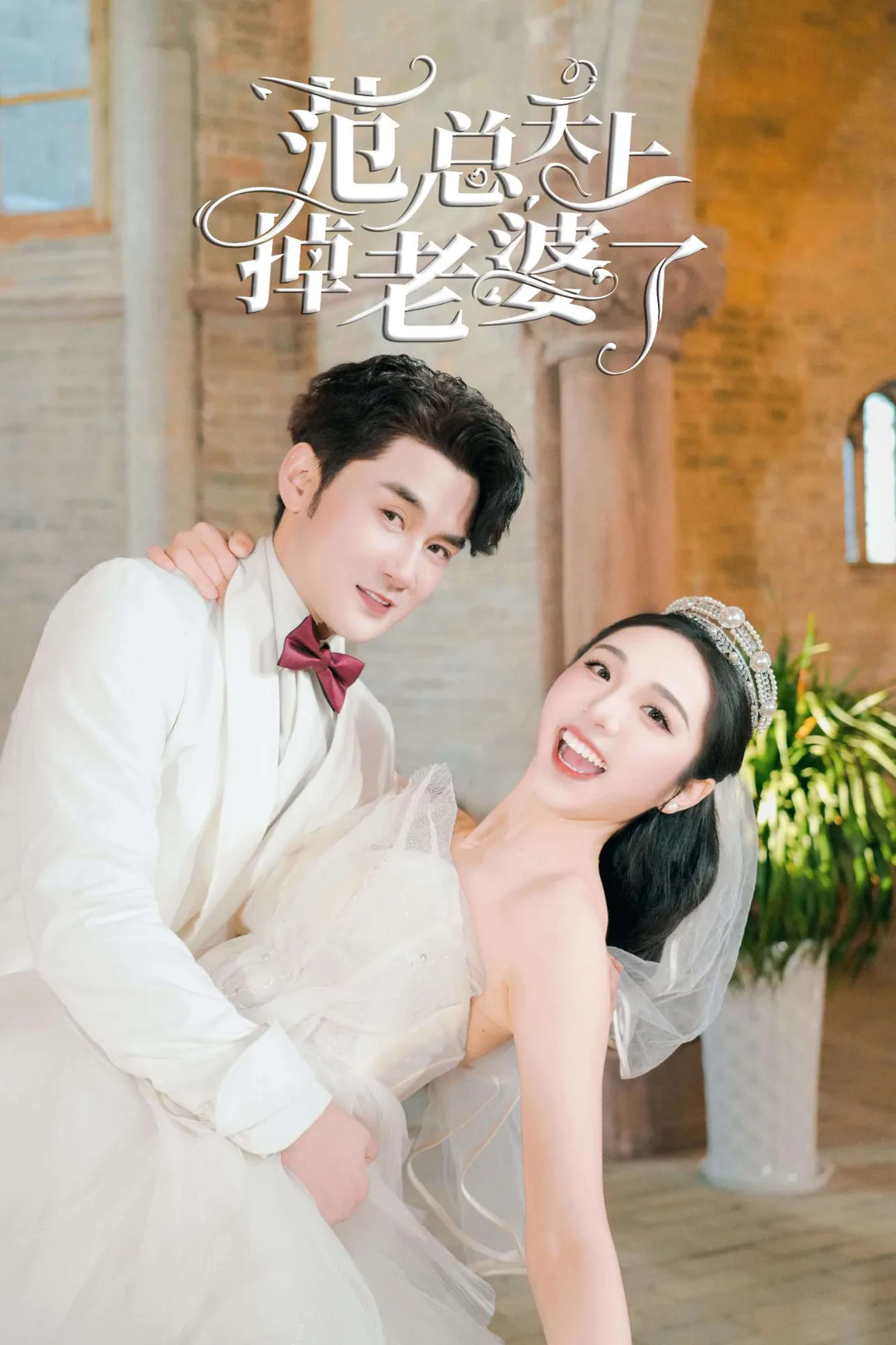《範總天上掉老婆》海報