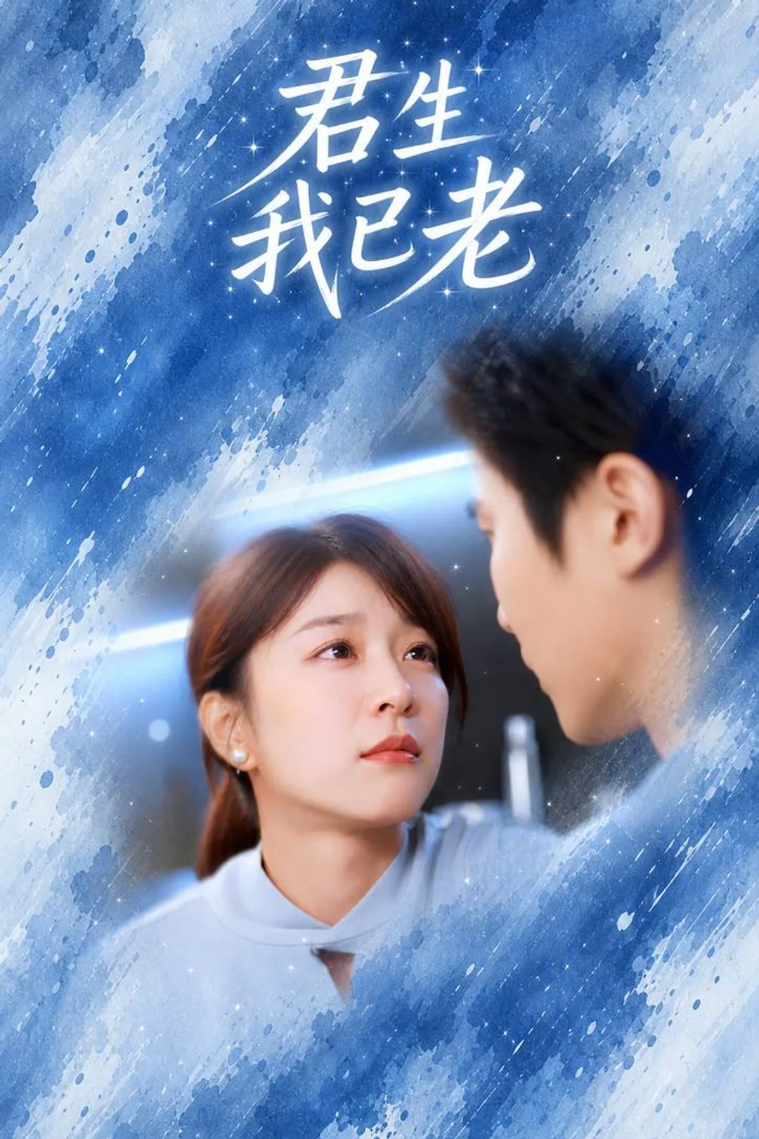 《君生我已老》海報