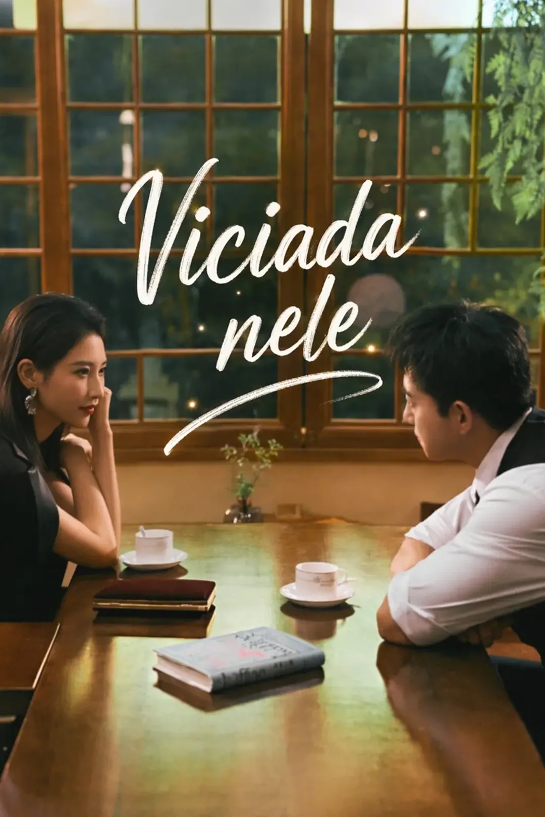 Pôster de Viciada nele