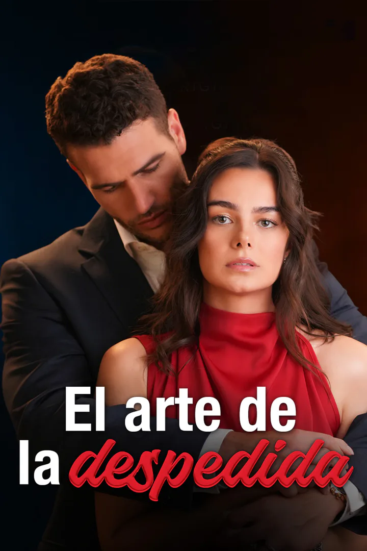 Póster de El arte de la despedida