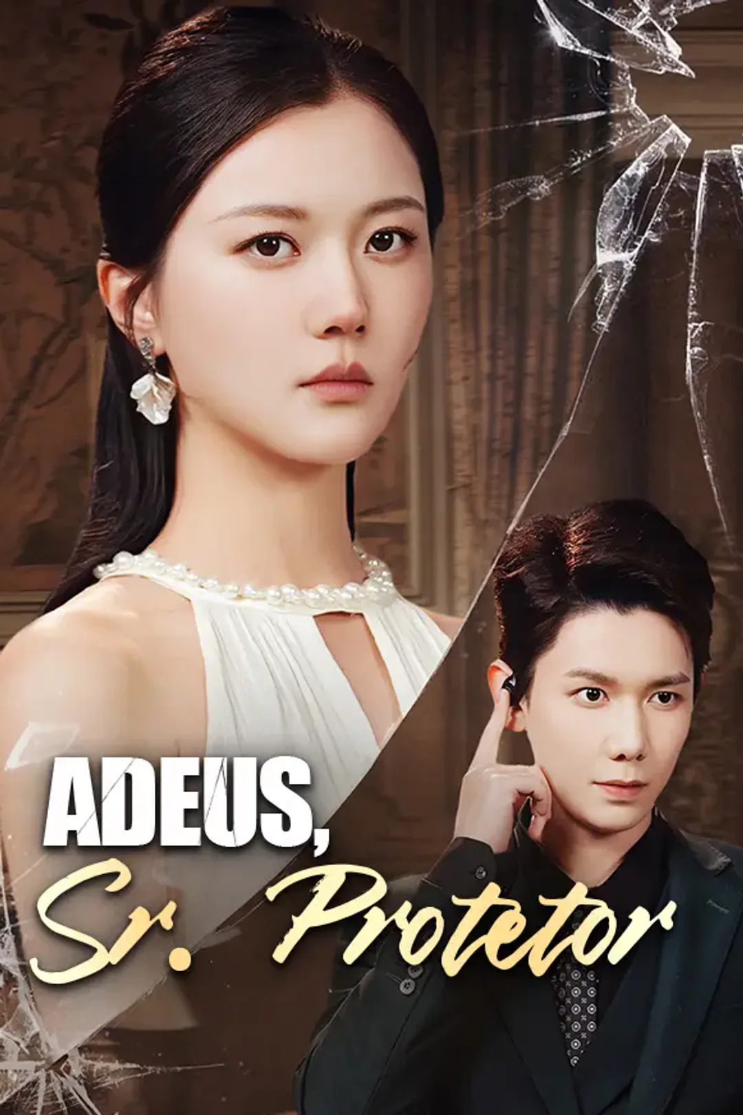 Pôster de Adeus, Sr. Protetor
