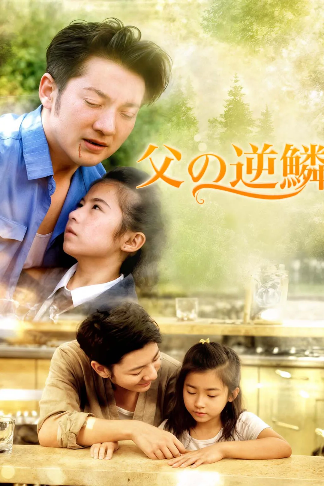 父の逆鱗のポスター