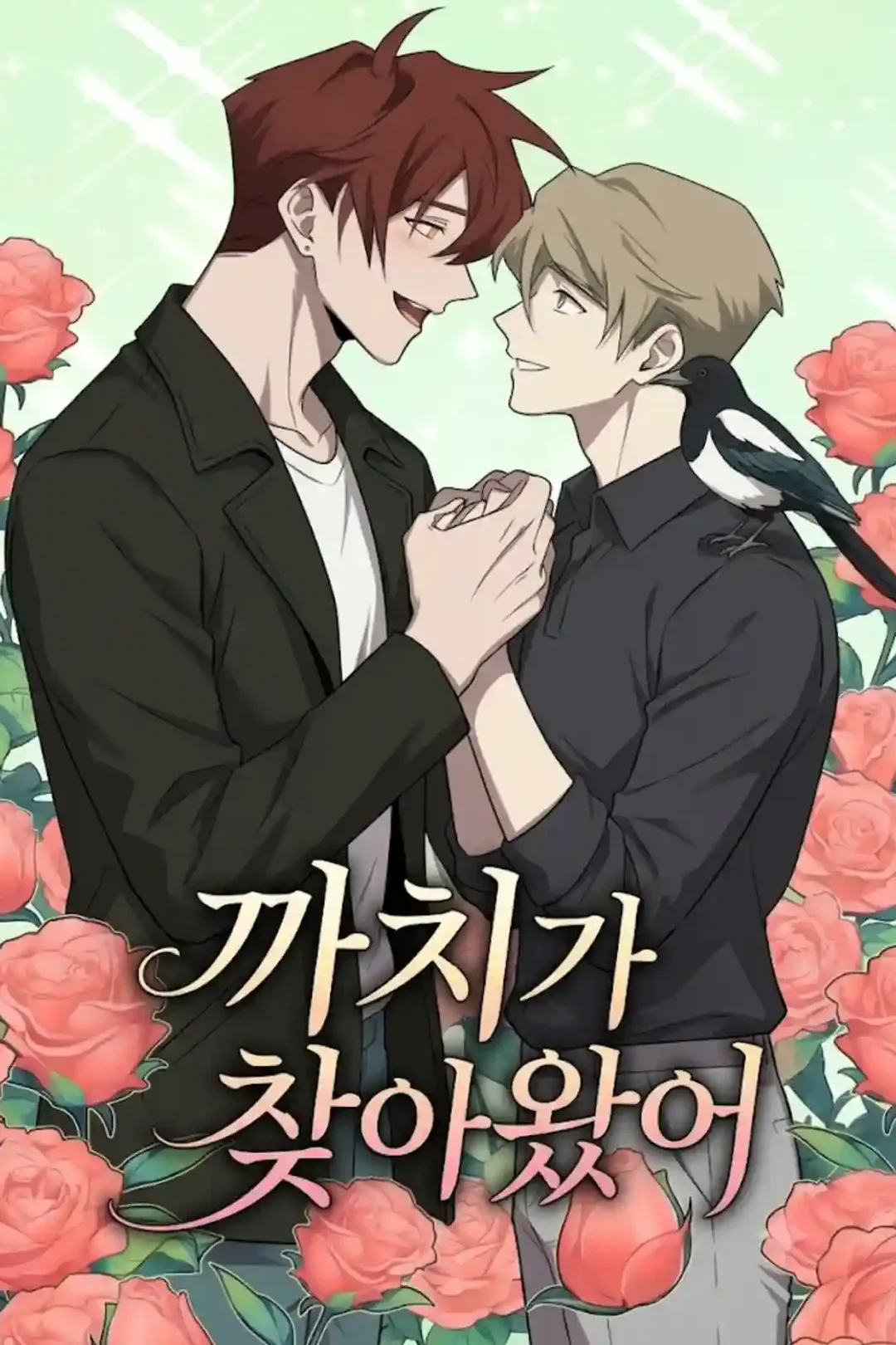 까치가 찾아왔어 포스터