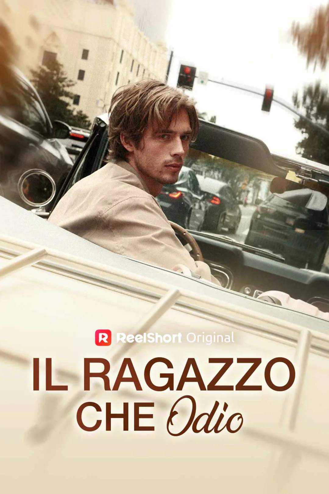 Locandina di Il ragazzo che odio