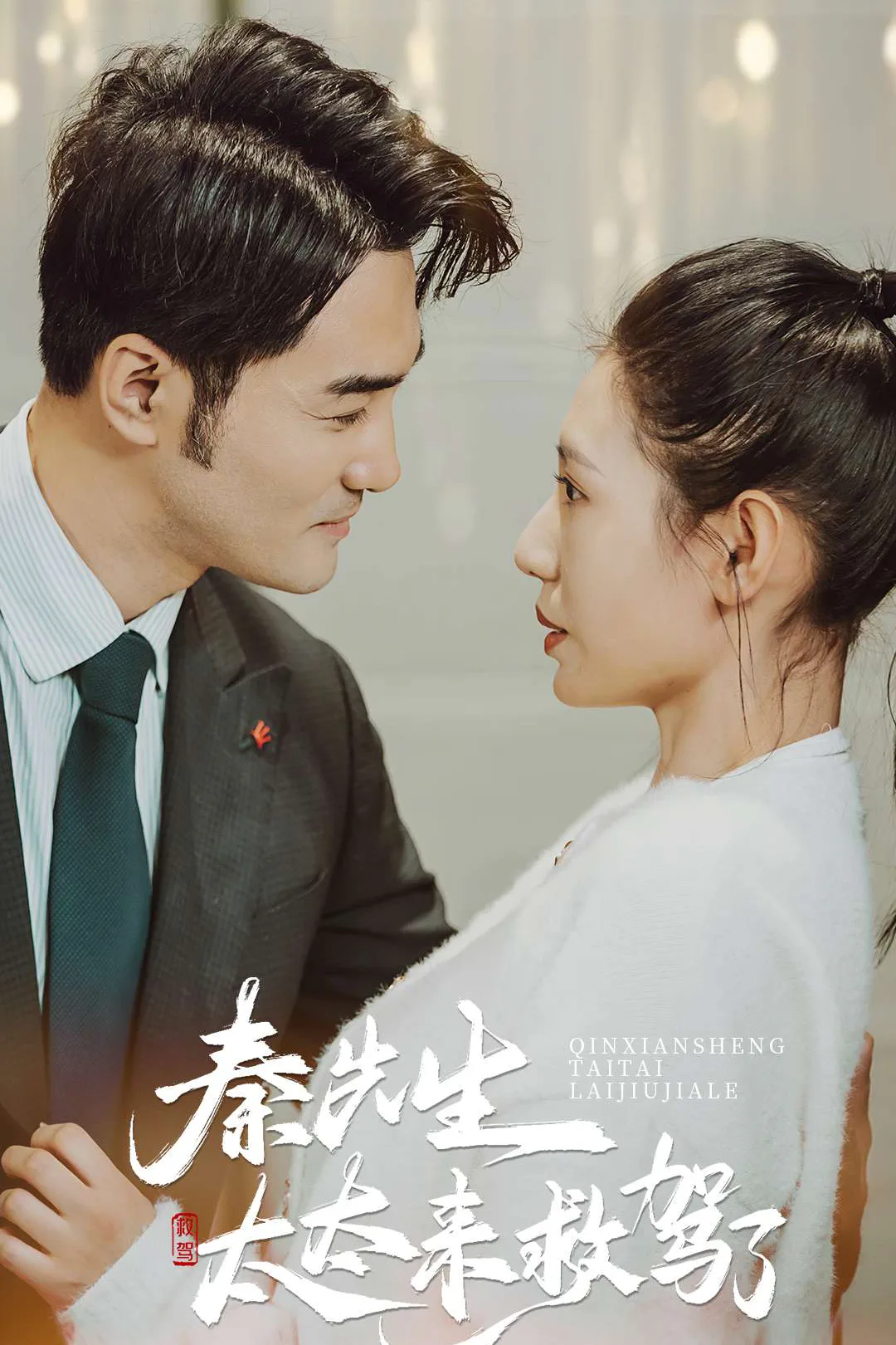 《秦先生太太来救驾了》海报