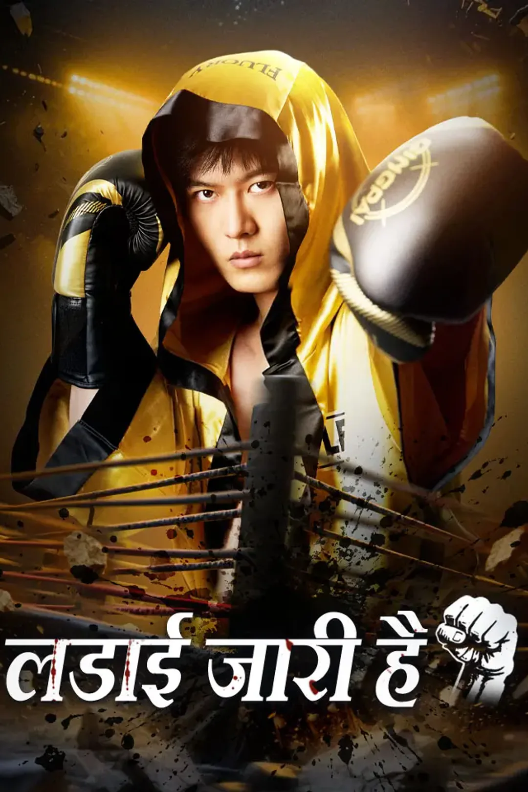 लडाई जारी है का पोस्टर