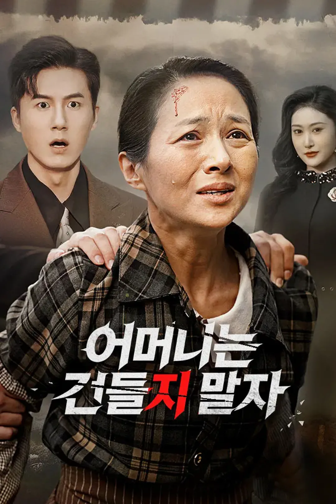 어머니는 건들지 말자 포스터