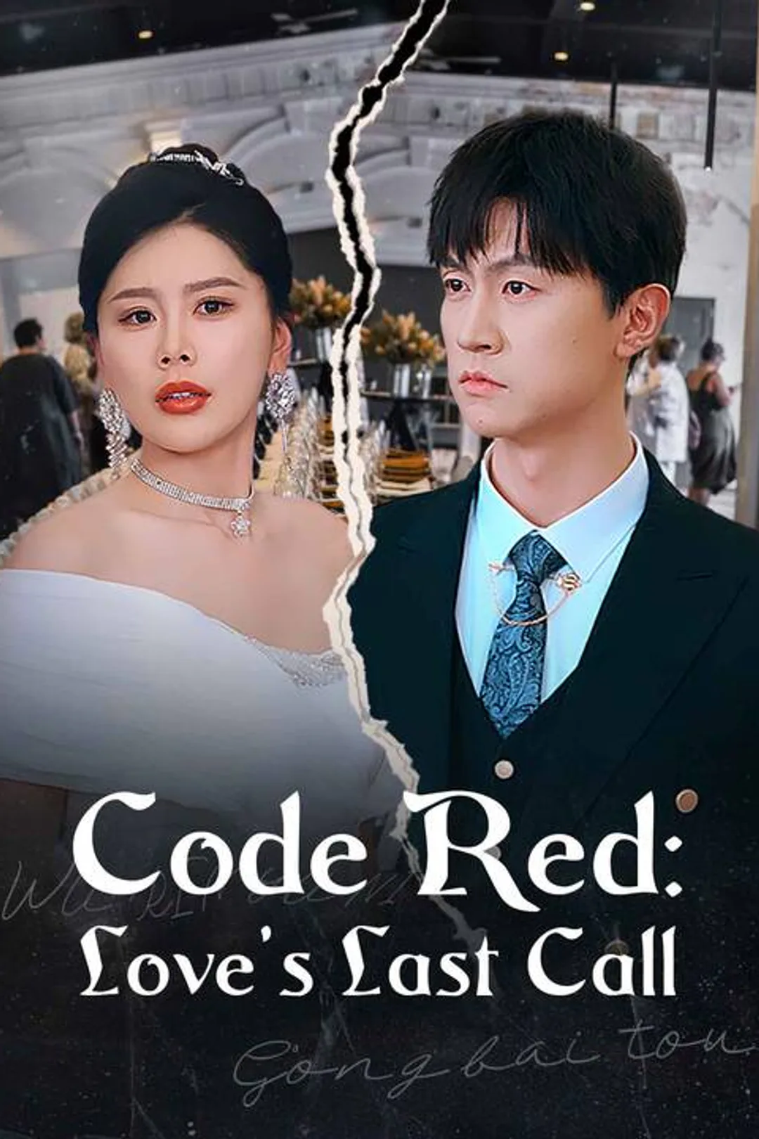 Code Red: Love’s Last Call poster