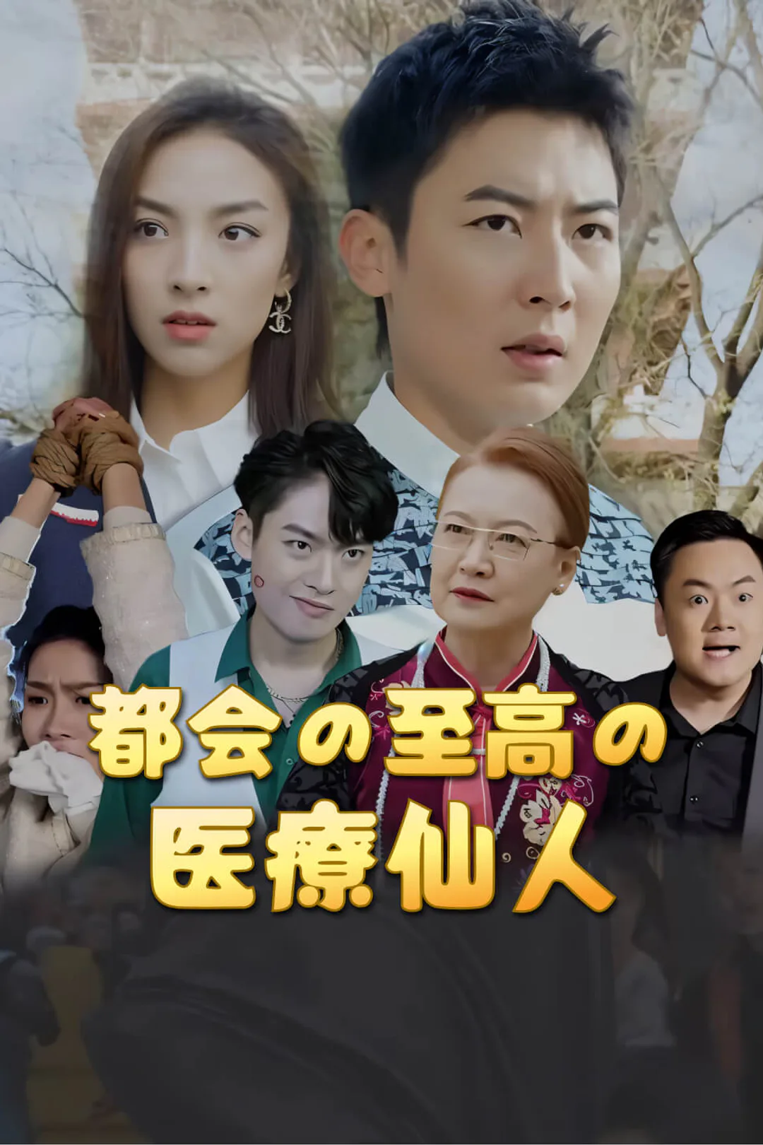 都会の至高の医療仙人のポスター
