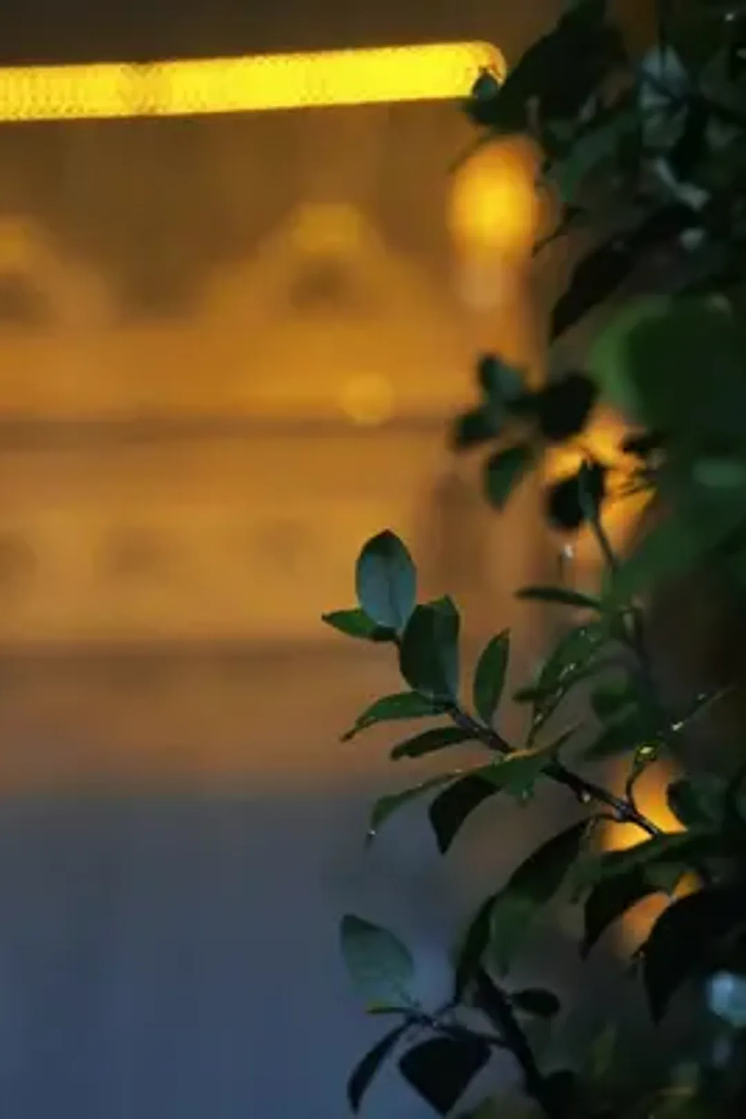 ملصق مسلسل «أبي، سيد الكونغ فو»