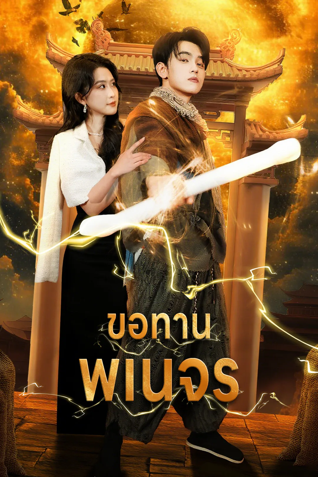 โปสเตอร์ ขอทานพเนจร