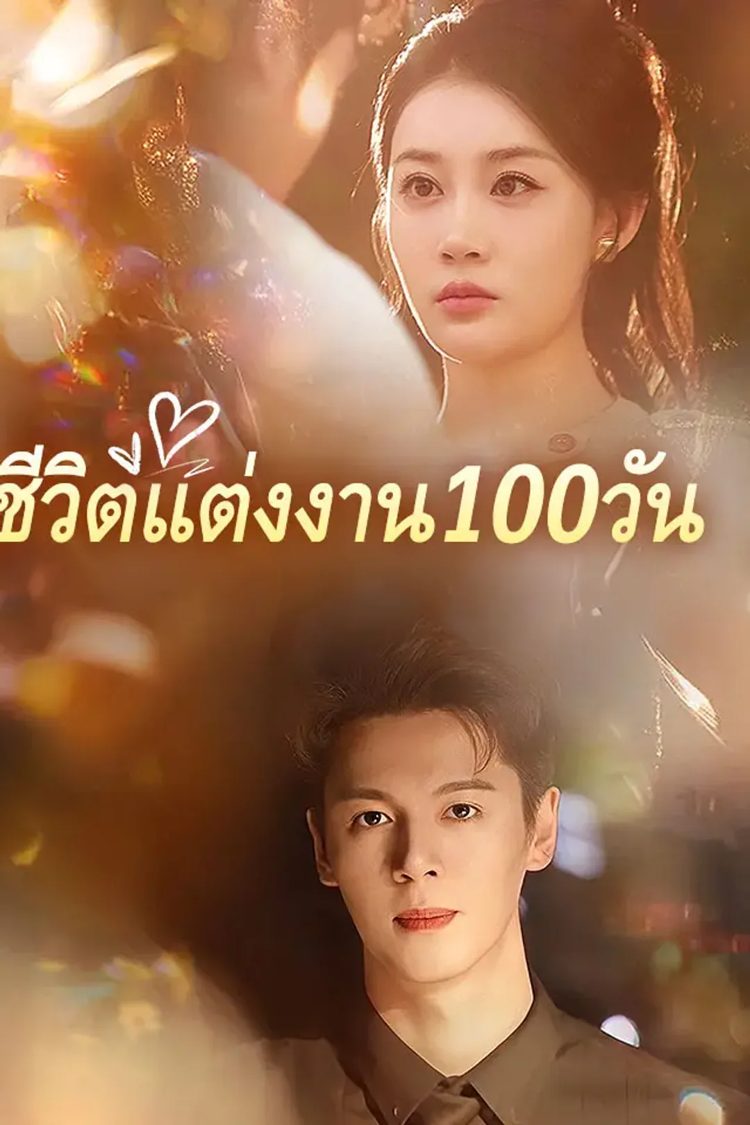 โปสเตอร์ ชีวิตแต่งงาน100วัน