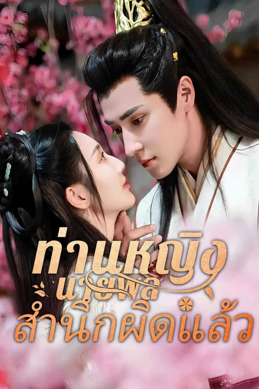 โปสเตอร์ ท่านหญิง นายพลสำนึกผิดแล้ว