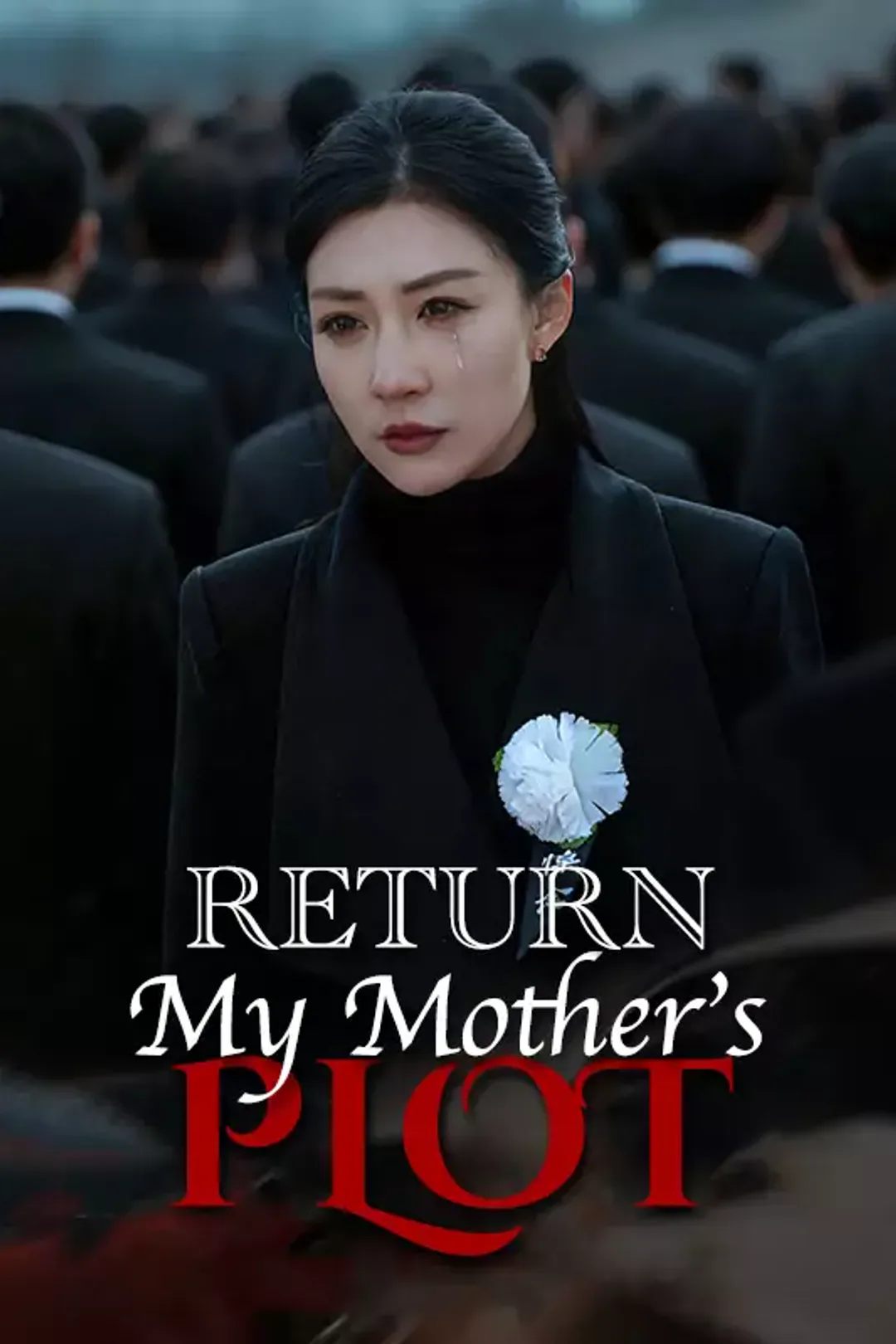 [cc] Return My Mother’s Plot poster