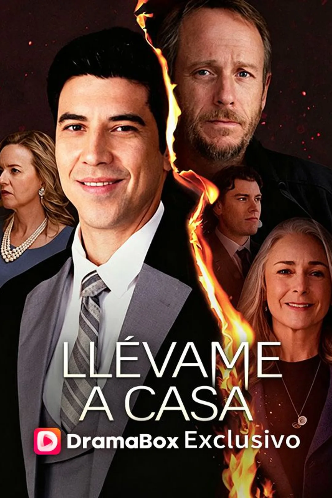 Póster de Llévame a casa