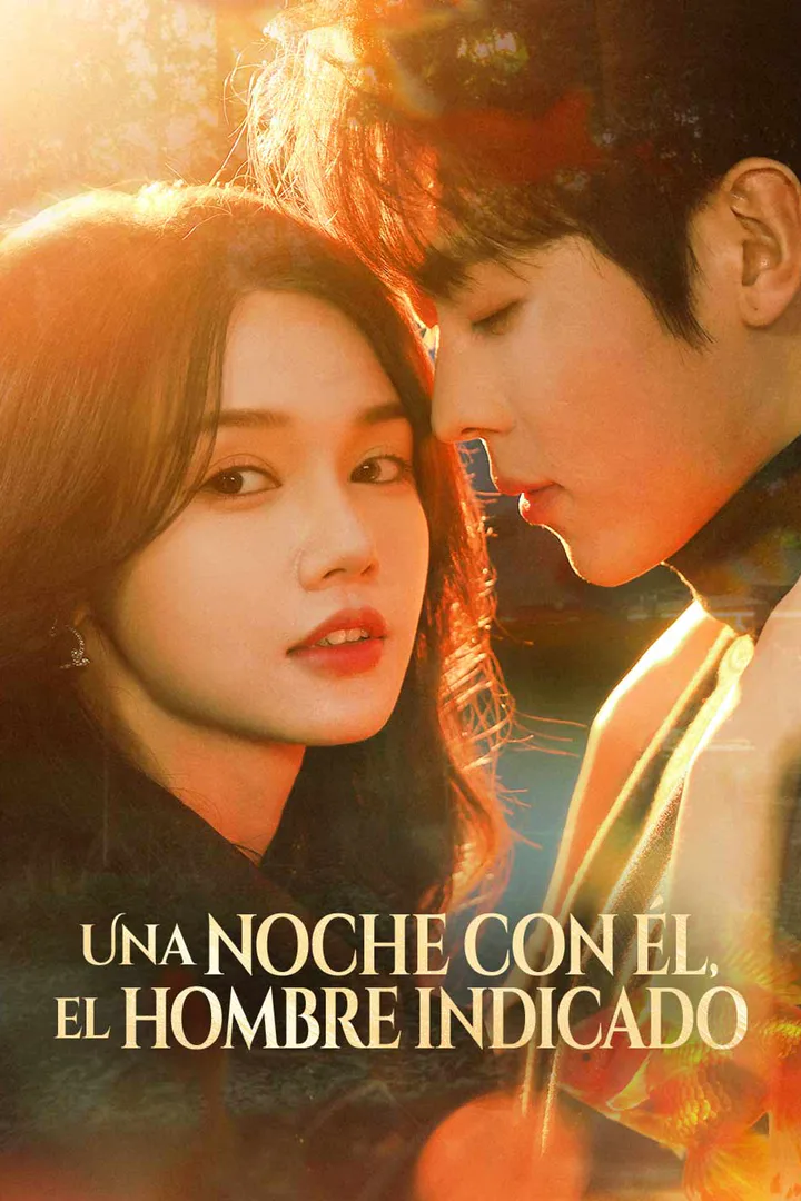 Póster de Una noche con él, el hombre indicado
