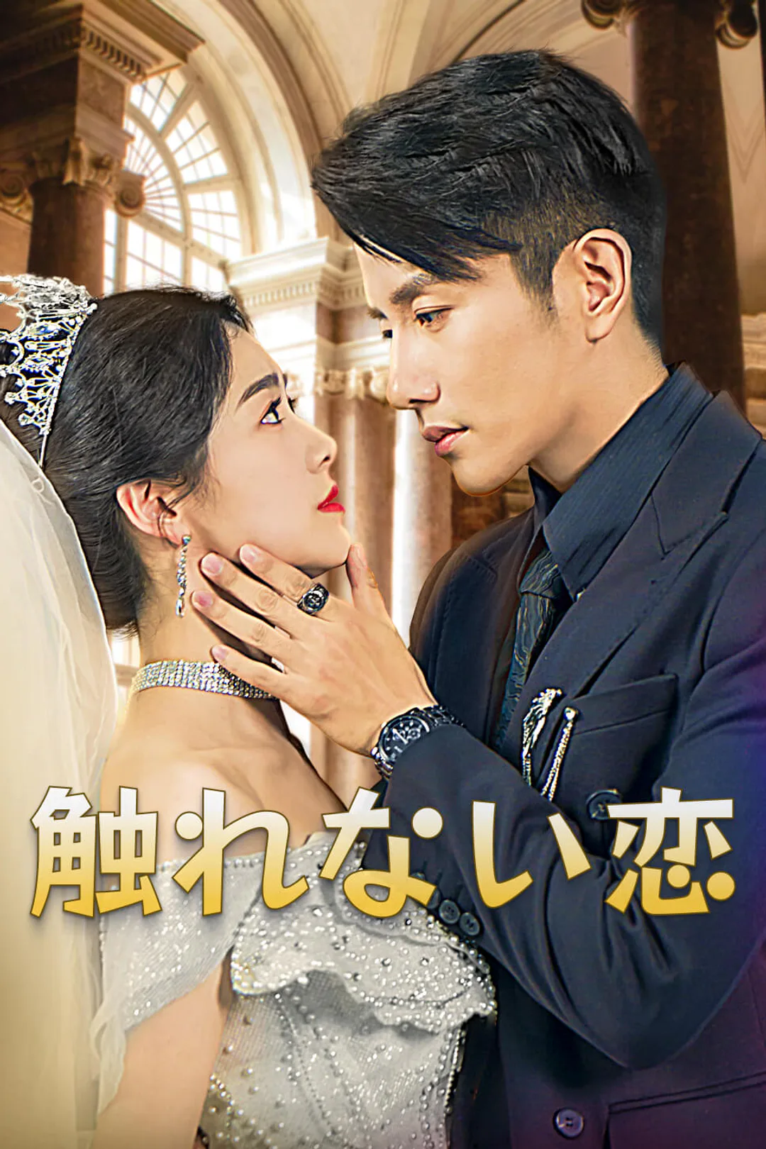 触れない恋のポスター