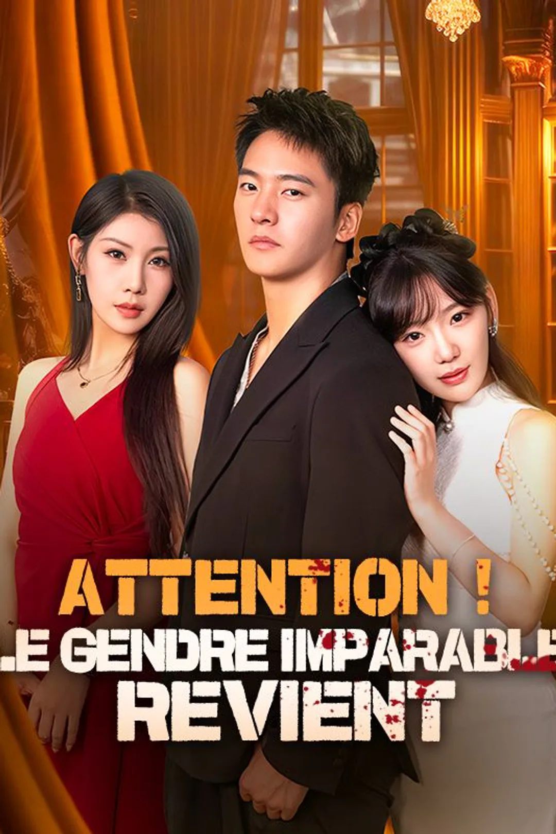 Affiche de Attention ! Le Gendre Imparable Revient