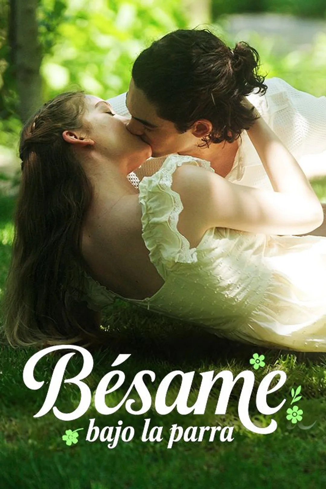Póster de Bésame bajo la parra