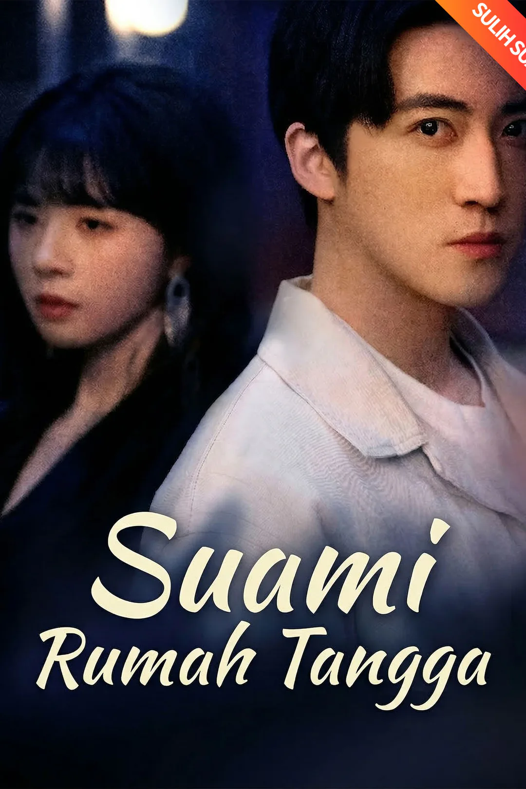 Poster Suami Rumah Tangga