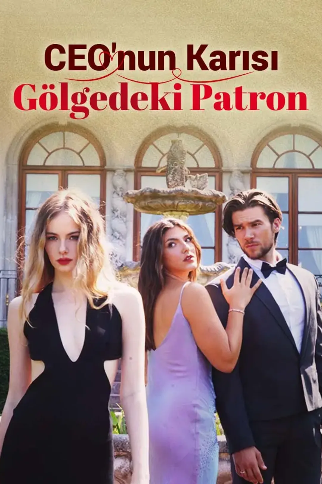 CEO'nun Karısı Gölgedeki Patron afişi
