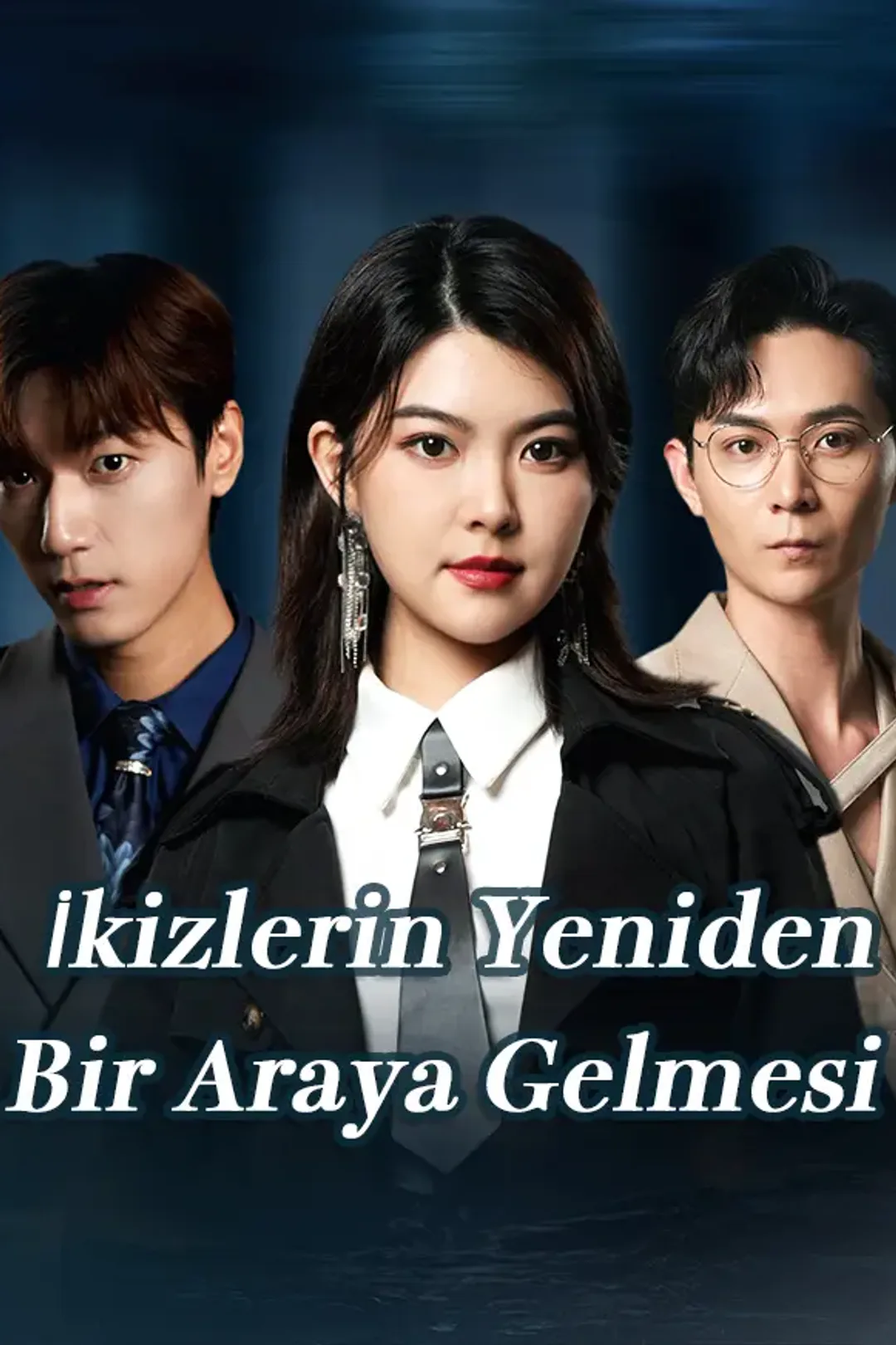 İkizlerin Yeniden Bir Araya Gelmesi afişi