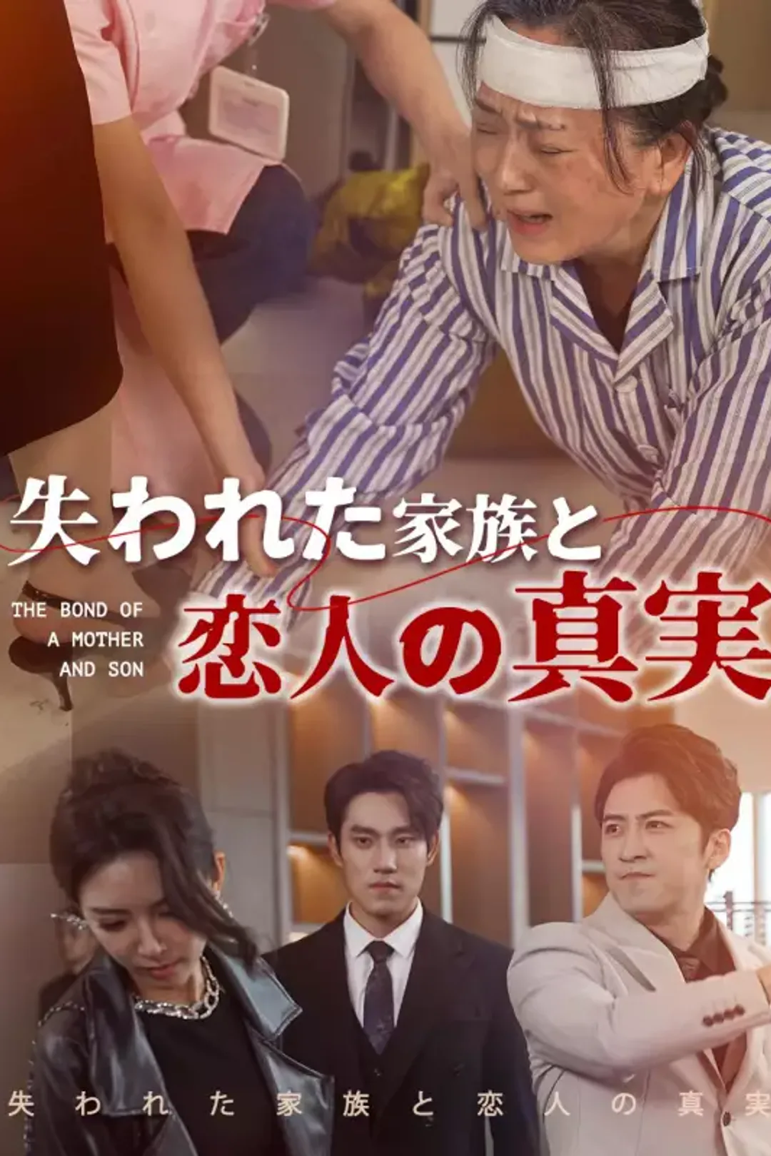 失われた家族と恋人の真実のポスター
