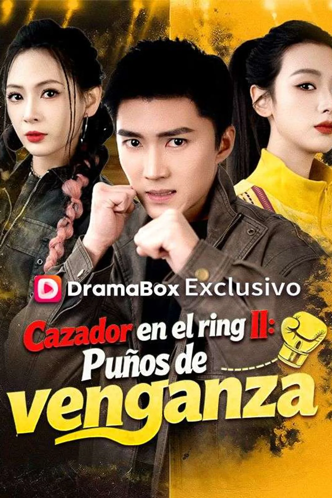Póster de Cazador en el ring II: Puños de venganza