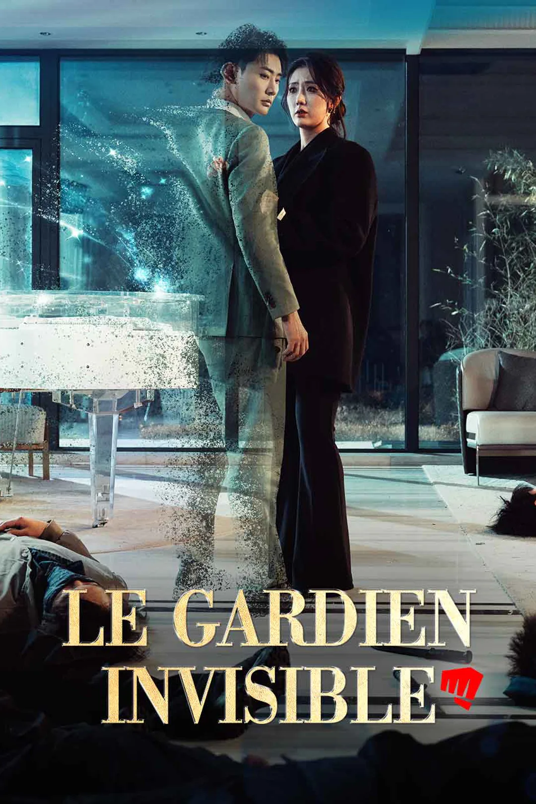 Affiche de Le Garde Invisible