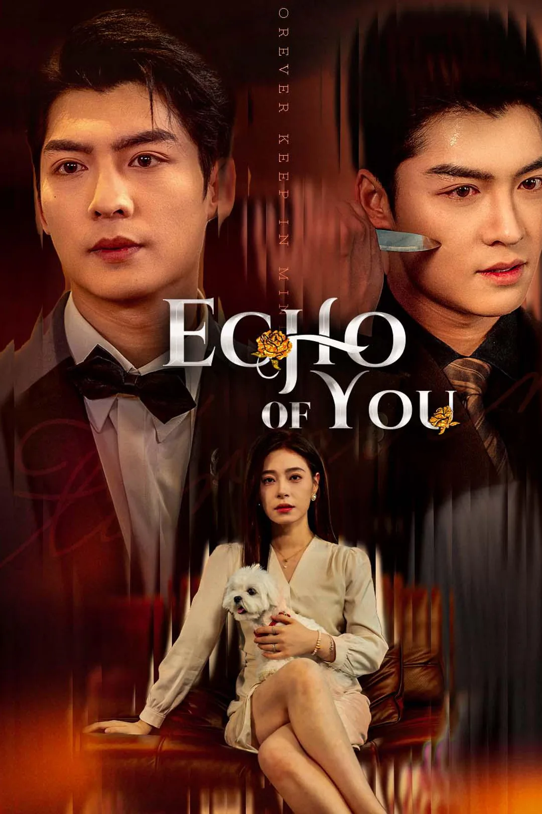 Echo of You poster