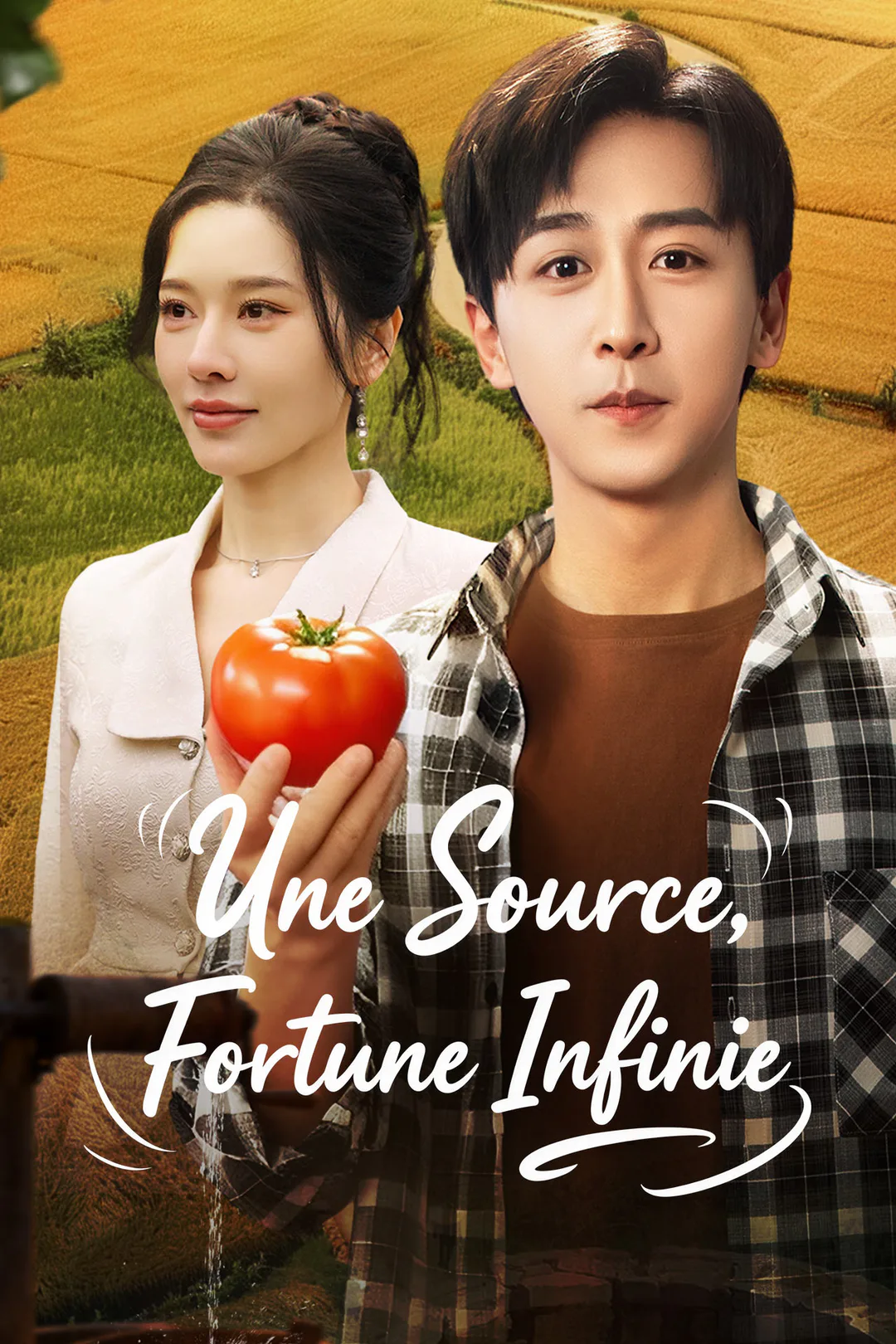 Affiche de Une Source, Fortune Infinie