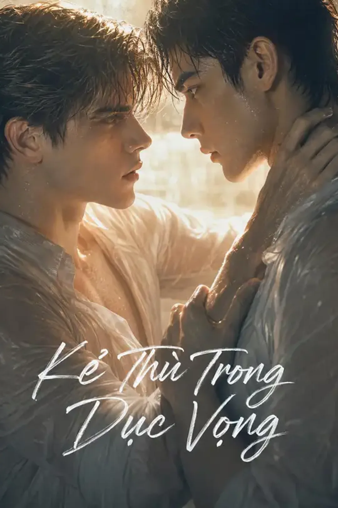 Poster phim Kẻ Thù Trong Dục Vọng
